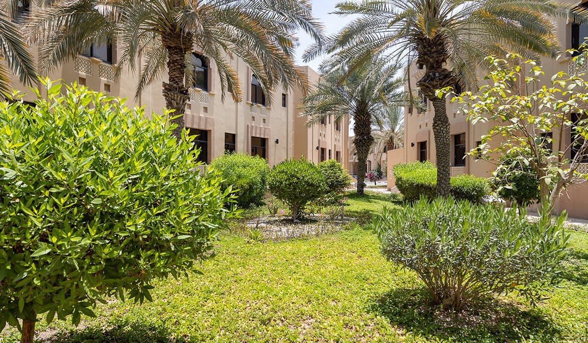 Sunad image 8